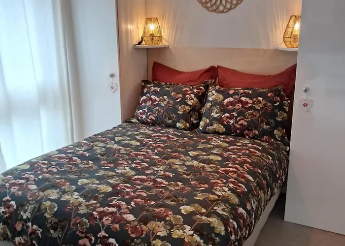 Le Patio Du Bourg - Entre Et Ocean بيسكاروس